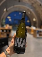 Lahofer-ryzlink-vlassky