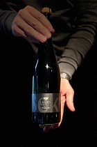 Lahofer-Neburske-brut